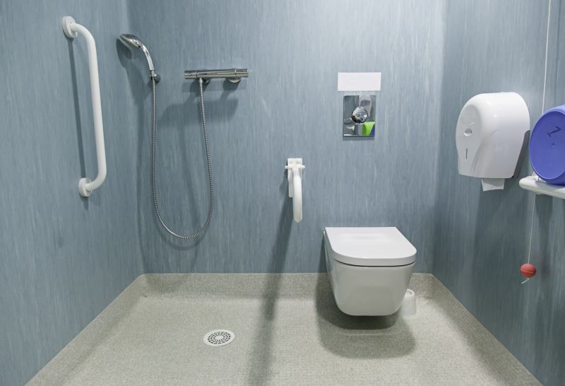 Accessible Shower Features